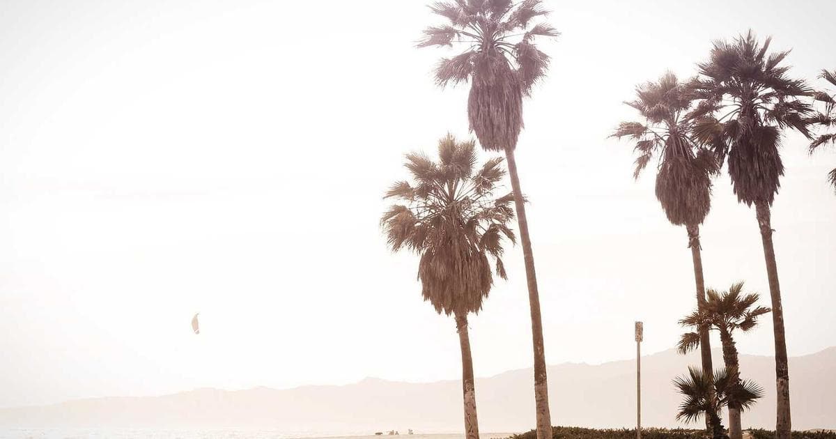 Crevings officially launches in Gurgaon, bringing 0% commission to food partners!