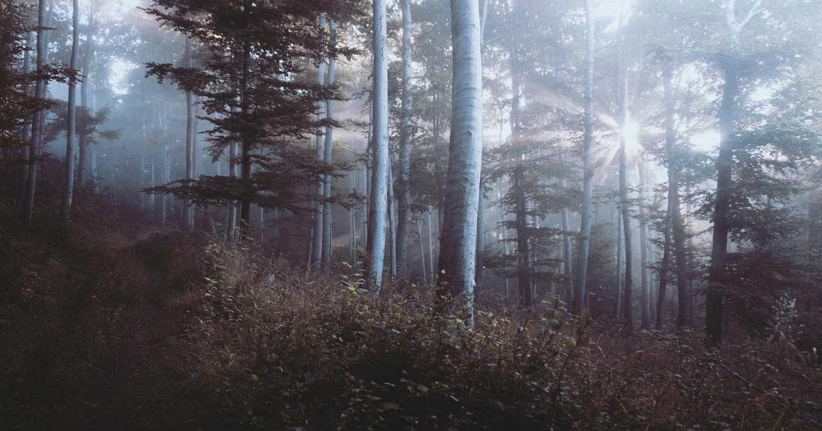 Coming Soon: Crevings is expanding to Mumbai and Bangalore!