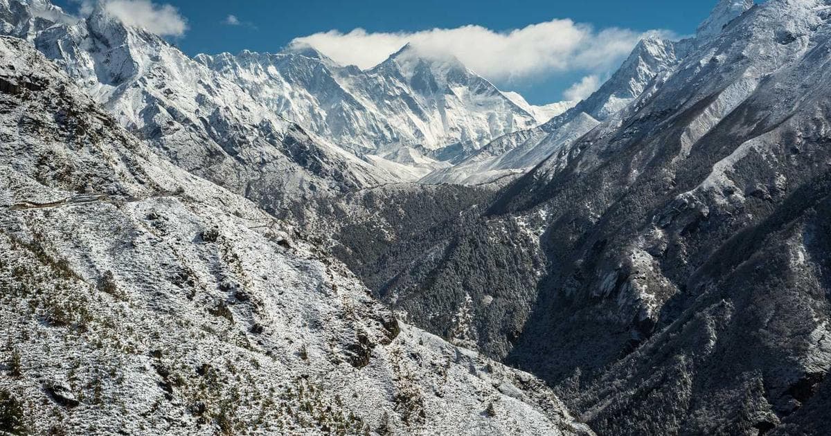 A Guide to Food Photography for Your Crevings Menu